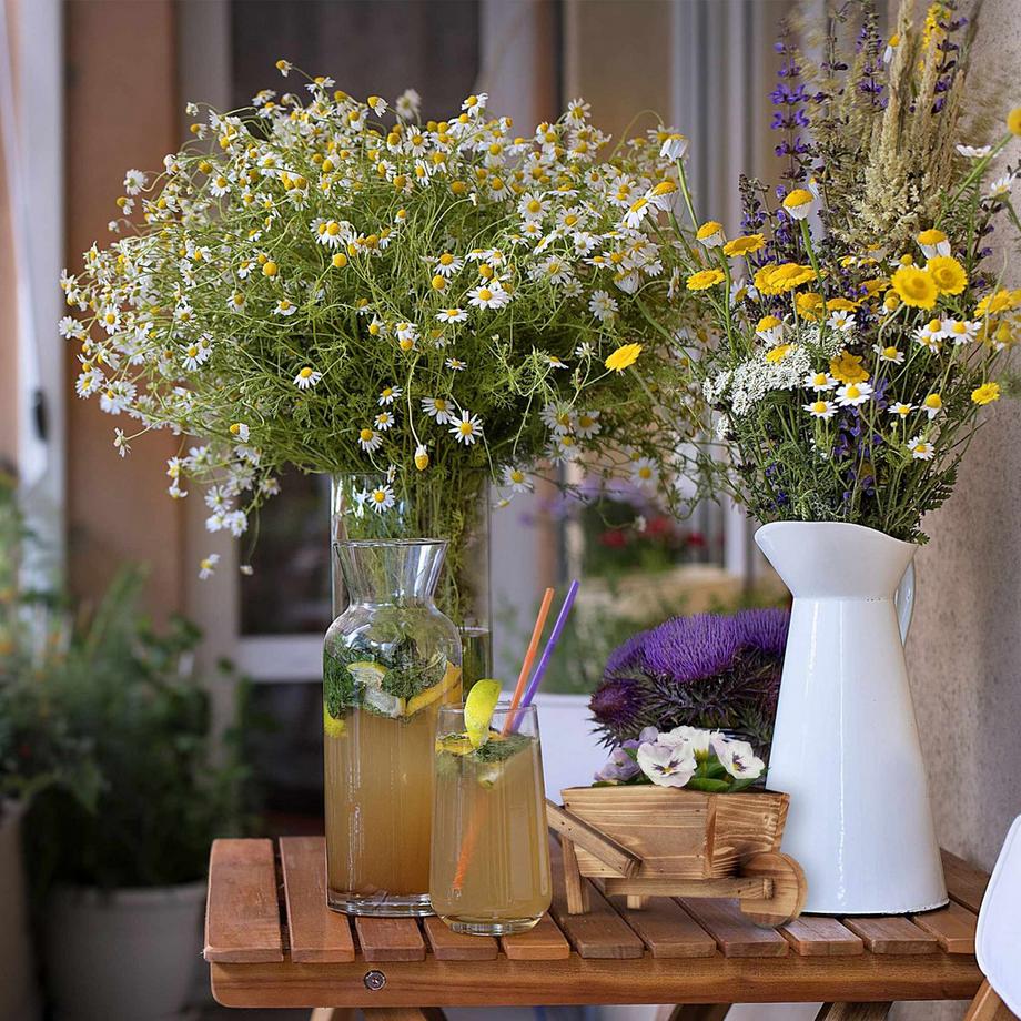 B2X Set di 2 carriole per piante  