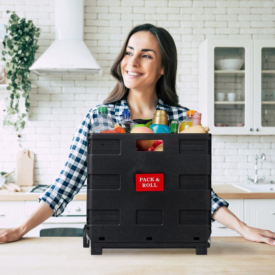 B2X  Chariot de courses avec couvercle 