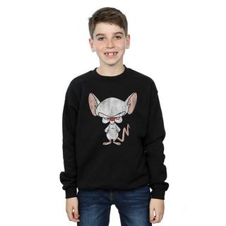 Animaniacs  Sweatshirt 