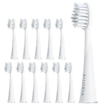 SHINE BRIGHT Têtes de brosse Extra Clean - lot de 12