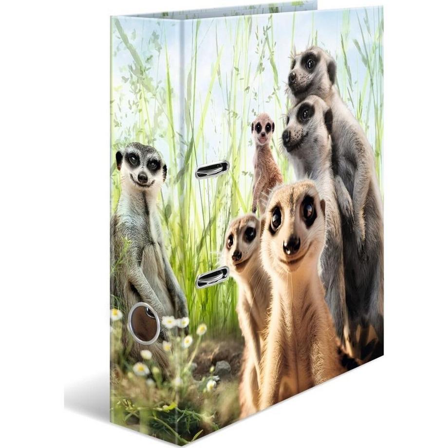 Dossier  sur les suricates
