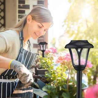 Northix Solarlampen im Set  