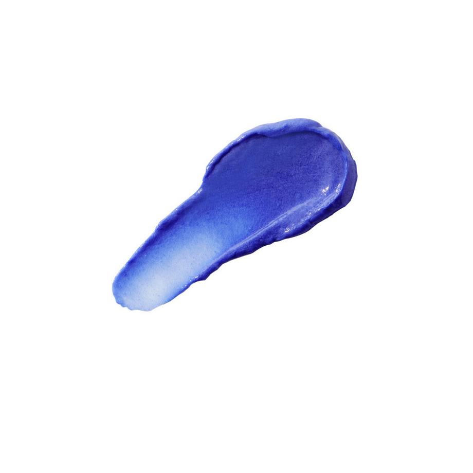 Christophe Robin  Haarmaske Shade Variation Mask 