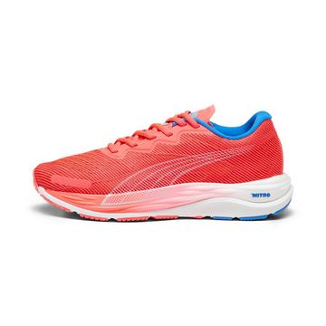 Chaussures de running femme  Velocity Nitro 2