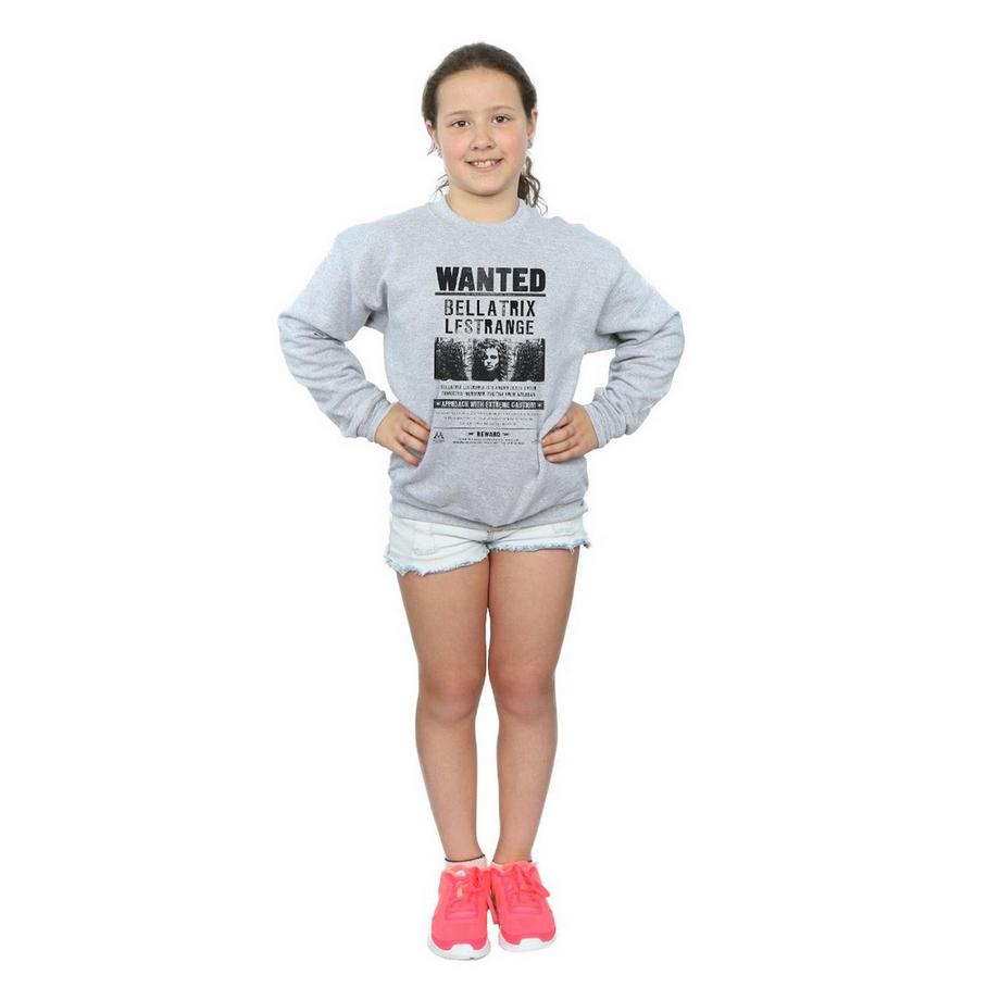 Harry Potter  Wanted Sweatshirt 