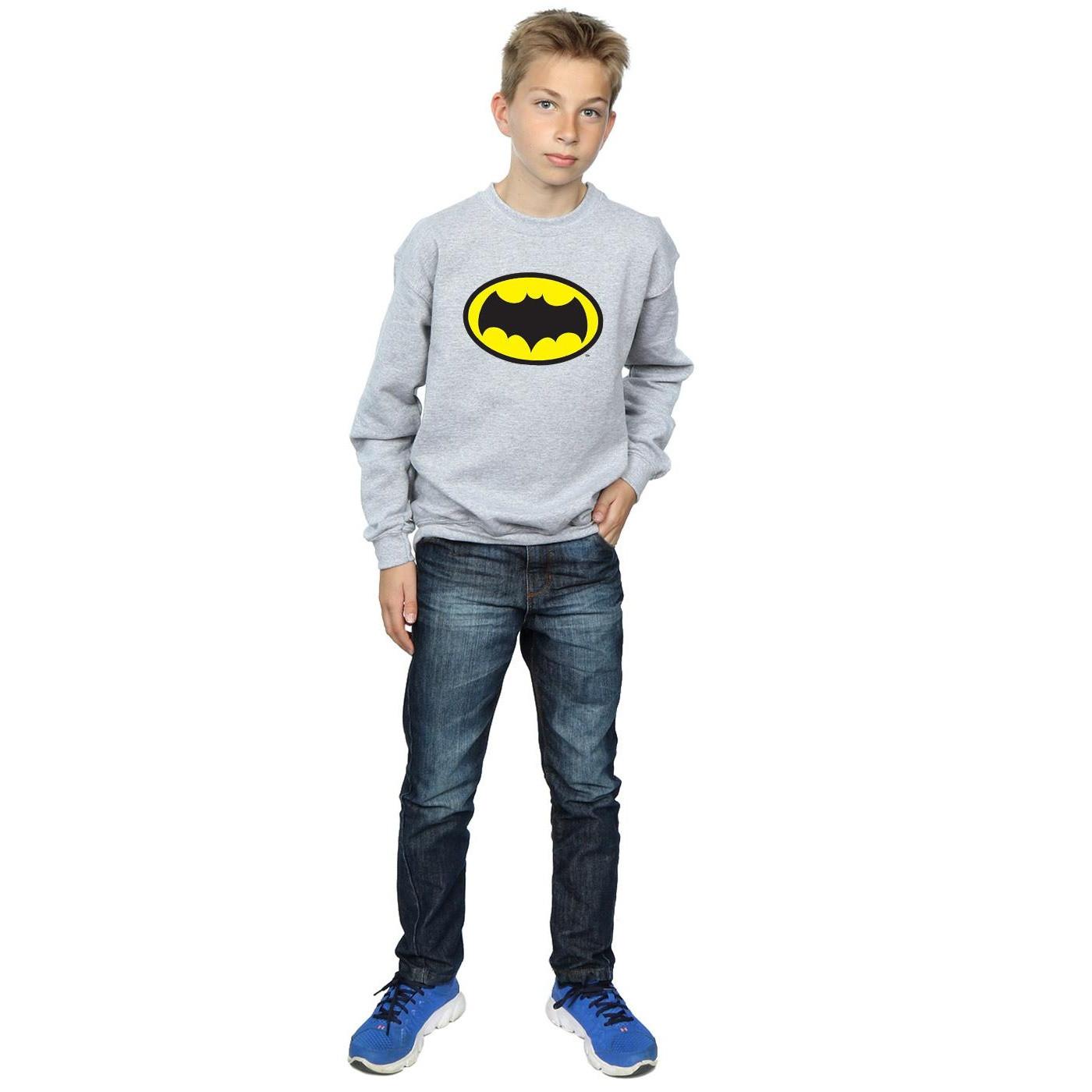 DC COMICS  Sweatshirt 