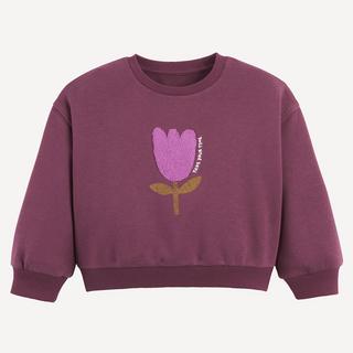 La Redoute Collections  Sweatshirt mit Rundhalsausschnitt aus Molton 