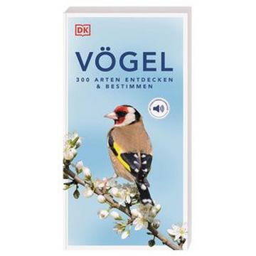 Vögel