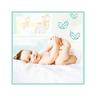 Pampers  Premium Protection Baby Windeln Gr.0 (22Stück) 