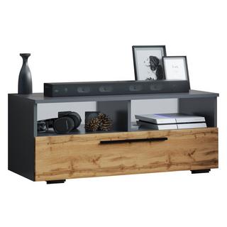 VCM Holz TV Lowboard Möbel Fernsehschrank Tisch Konsole Fernsehtisch Arila L  