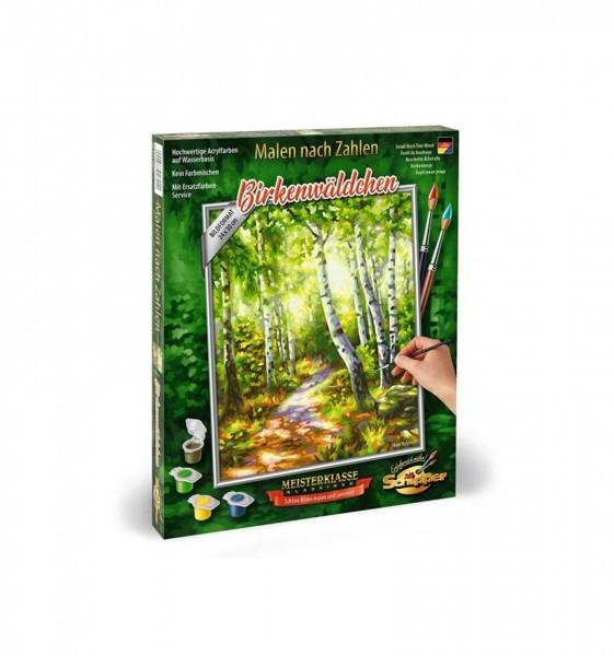 Image of Landschaftsmotive MNZ Birkenwäldchen