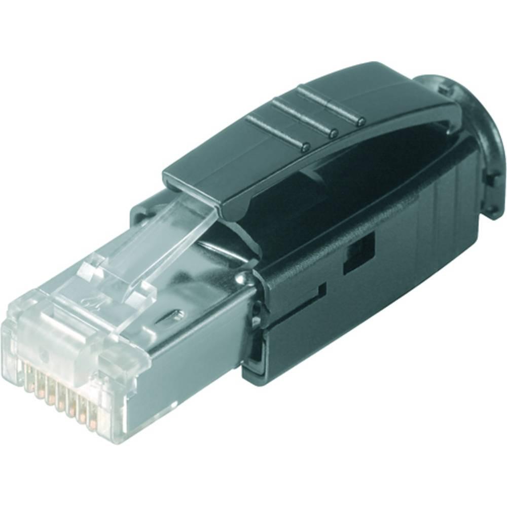 Image of Stecker RJ45 Crimp