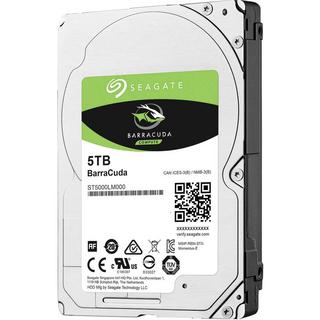 Seagate  Interne Festplatte 6.35 cm (2.5 Zoll) 