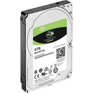 Seagate  Interne Festplatte 6.35 cm (2.5 Zoll) 