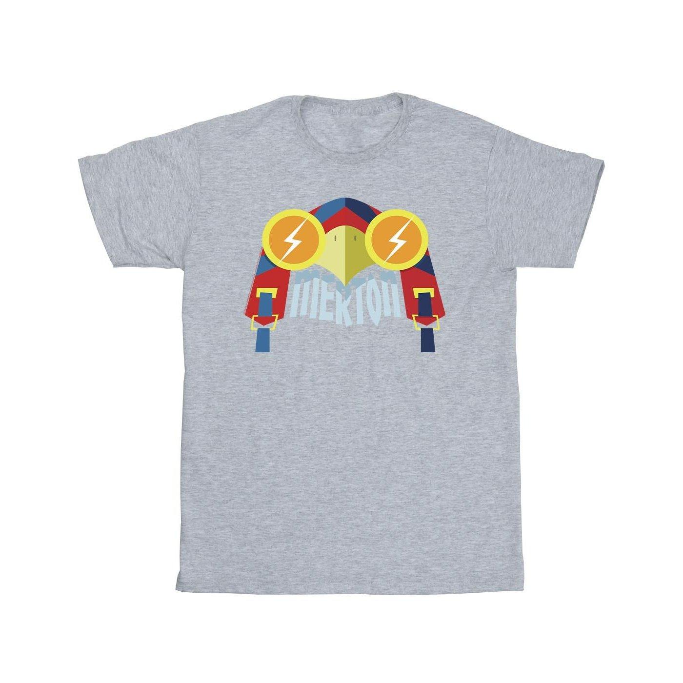 Image of Dc League Of Superpets Merton Tshirt Jungen Grau 104