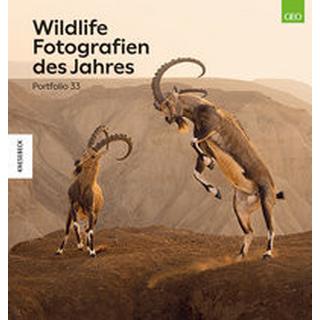 Wildlife Fotografien des Jahres - Portfolio 33 Natural History Museum (Hrsg.); Kretschmer, Ulrike (Übersetzung) Copertina rigida 