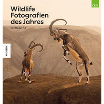 Wildlife Fotografien des Jahres - Portfolio 33