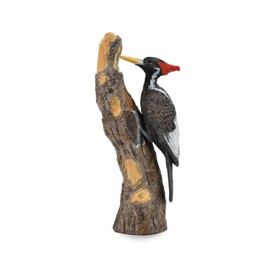 CollectA  Wild Life Elfenbein-Specht 