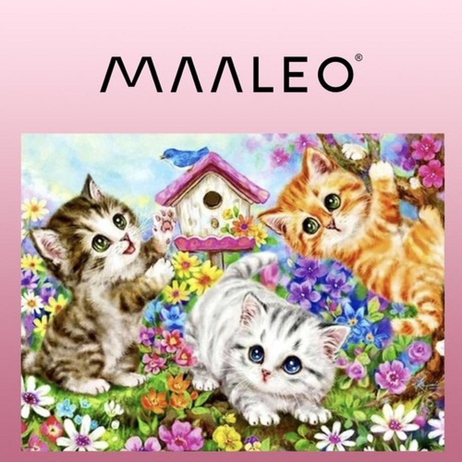 Maaleo Dipinto con i numeri 40x50 cm - Gatti Maaleo 22781  