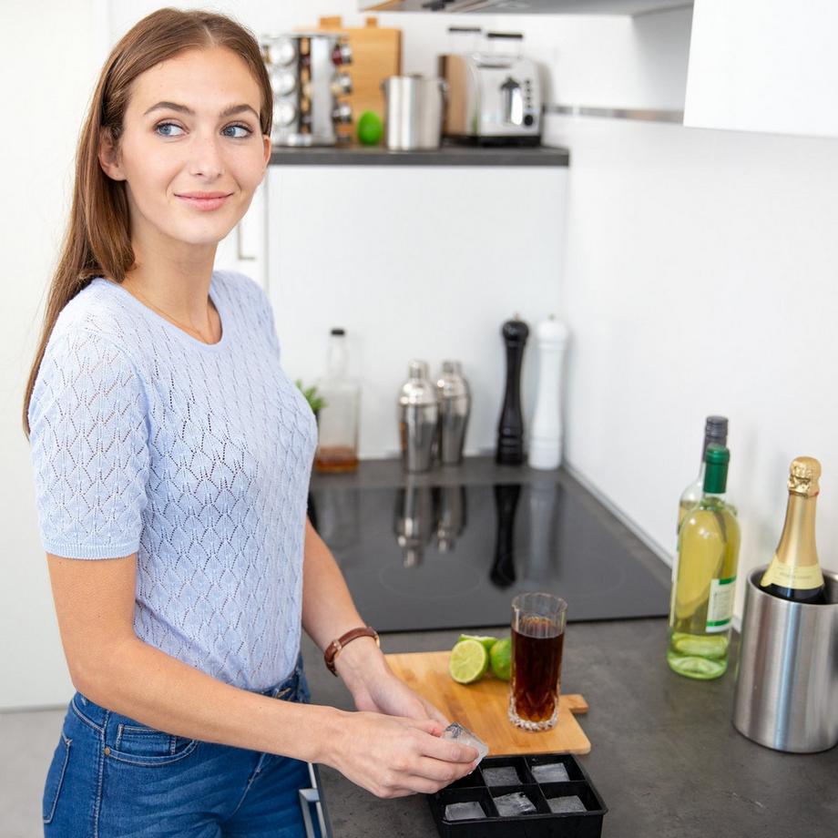 B2X  Silikon-Eiswürfelform 5 cm 