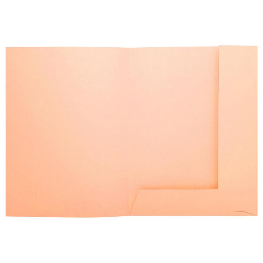 Exacompta Confezione da 5 cartelle 2 rabats SUPER 210 - 24x32cm - x 10  