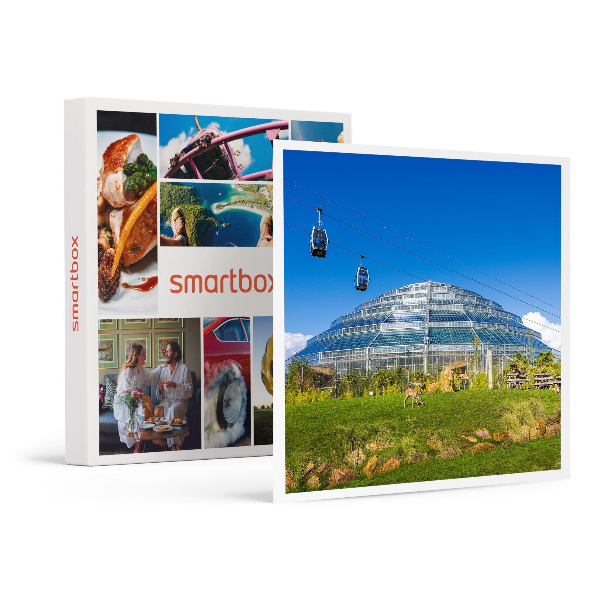 Image of 2 Tage Mit Der Familie Im Zooparc De Beauval Für 2 Erwachsene Und 1 Kind - Geschenkbox Unisex