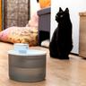 InnovaGoods Aufladbarer Katzenbrunnen mit Sensor  