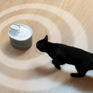 InnovaGoods Fontaine rechargeable pour chat avec capteur  