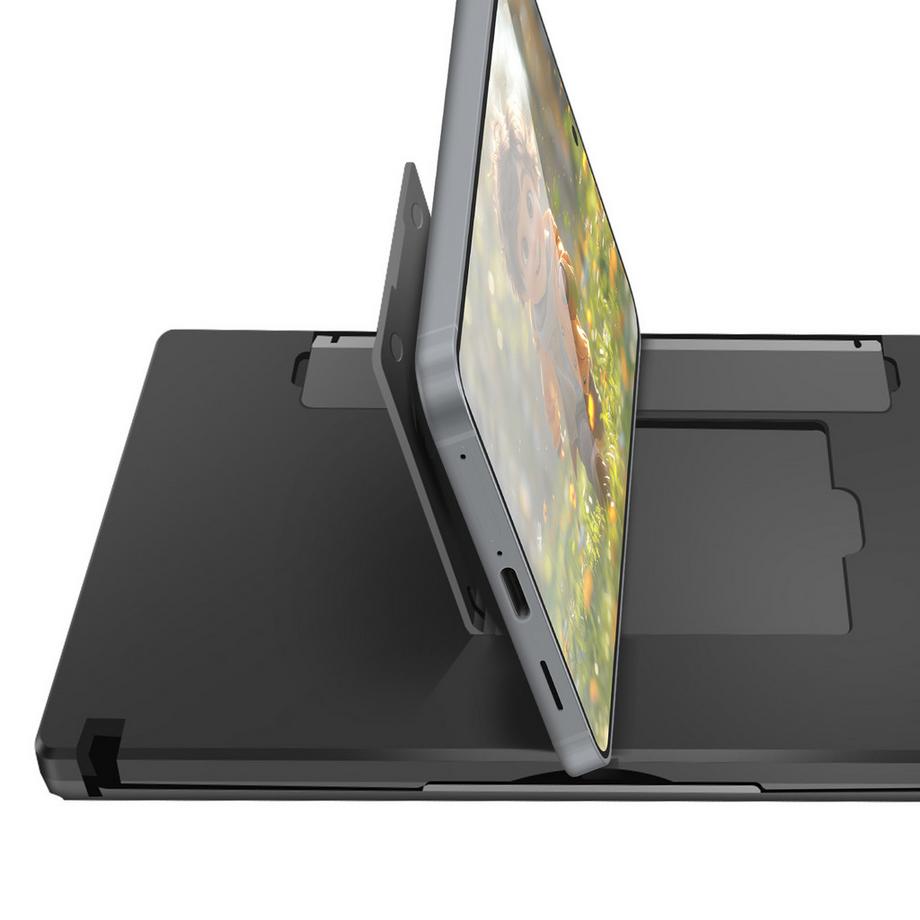 Avizar  12" HD Bildschirmverstärker Doppelmodus 