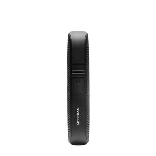 Meridian Grooming Up-Here Trimmer (Onyx)  