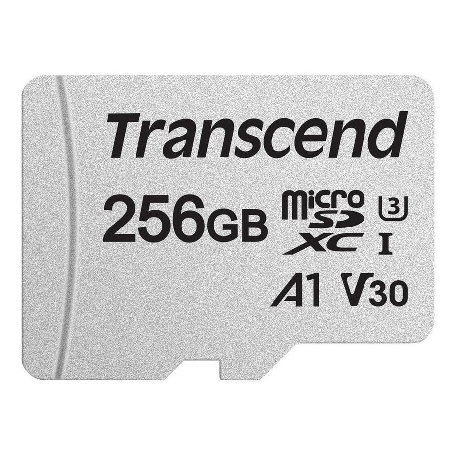 microSDXC 256 GB U3 (R95/W40)