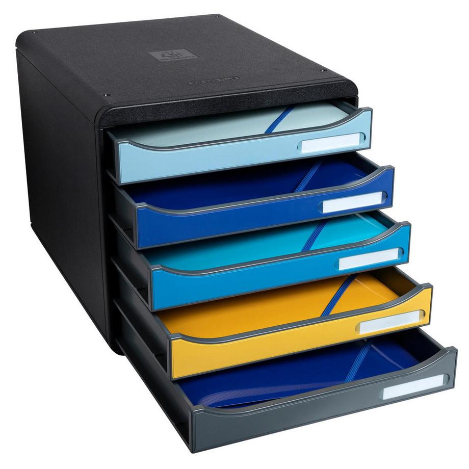 Exacompta Cassettiera Big Box Plus 5 cassetti Bee Blue  