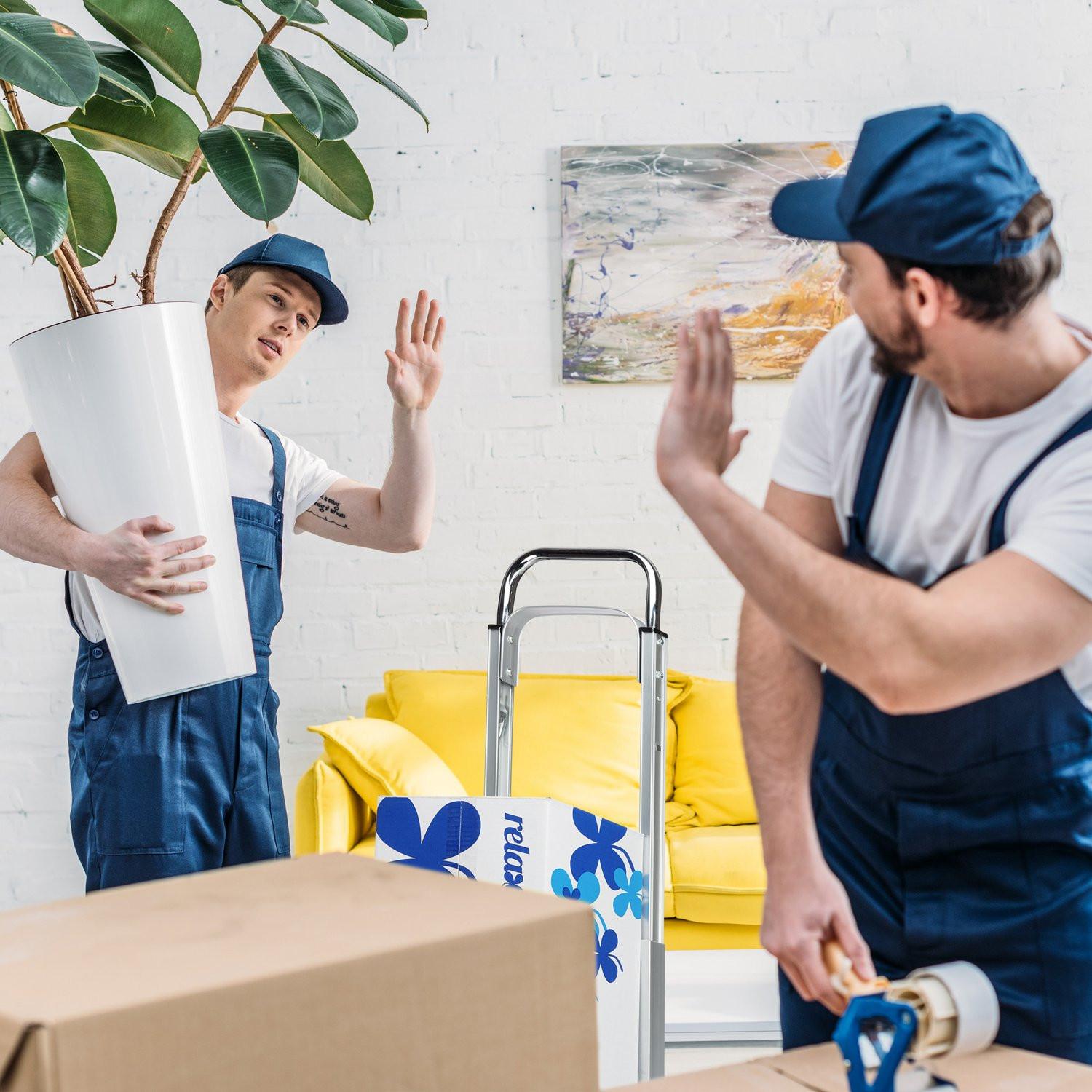 B2X Trolley bis 200 kg  