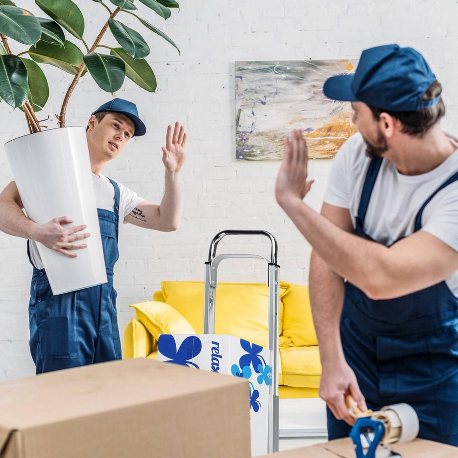 B2X Trolley bis 200 kg  