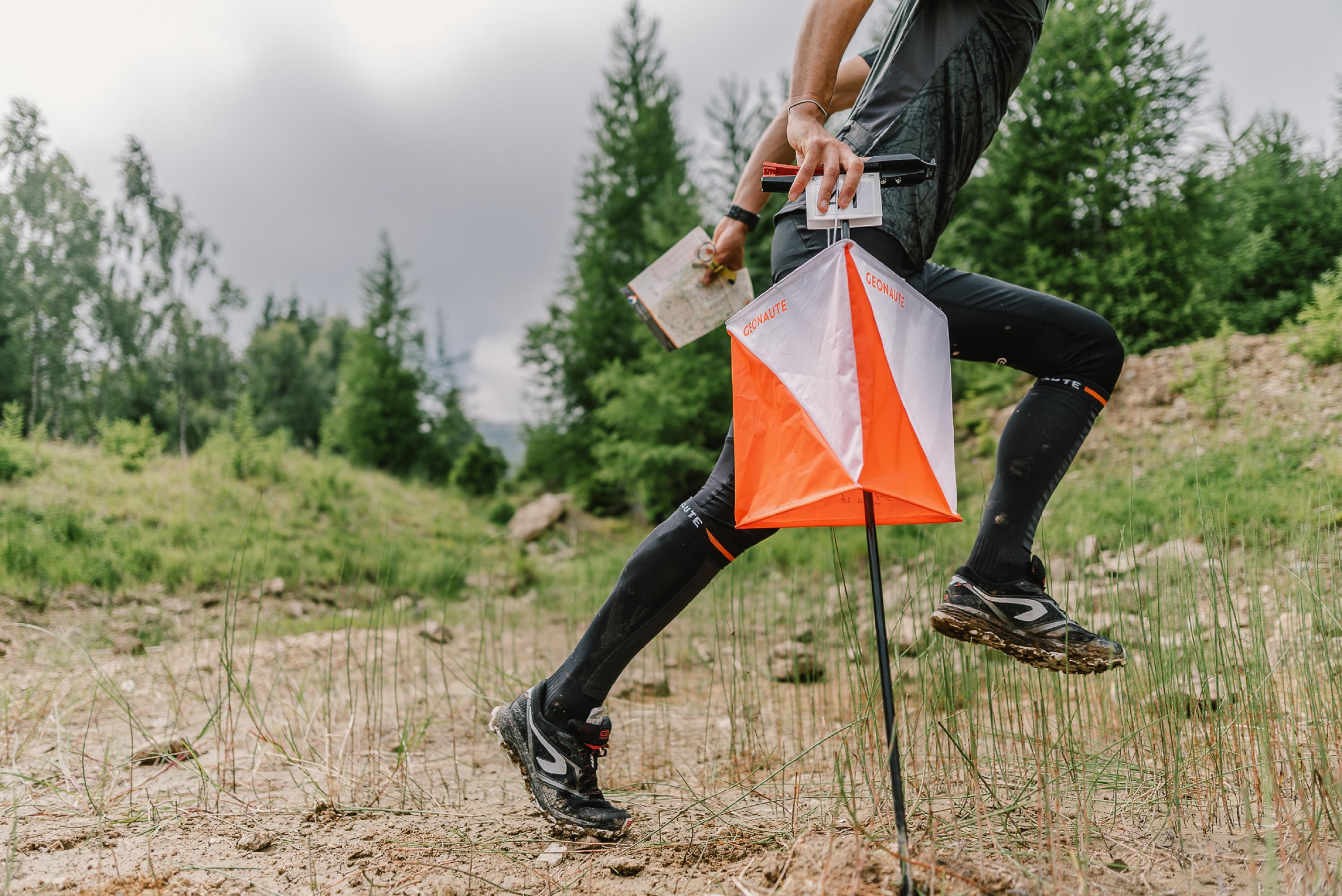 GEONAUTE  Socken - ALPINISM 