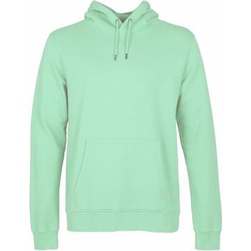Sweatshirt à capuche  Classic Organic faded mint