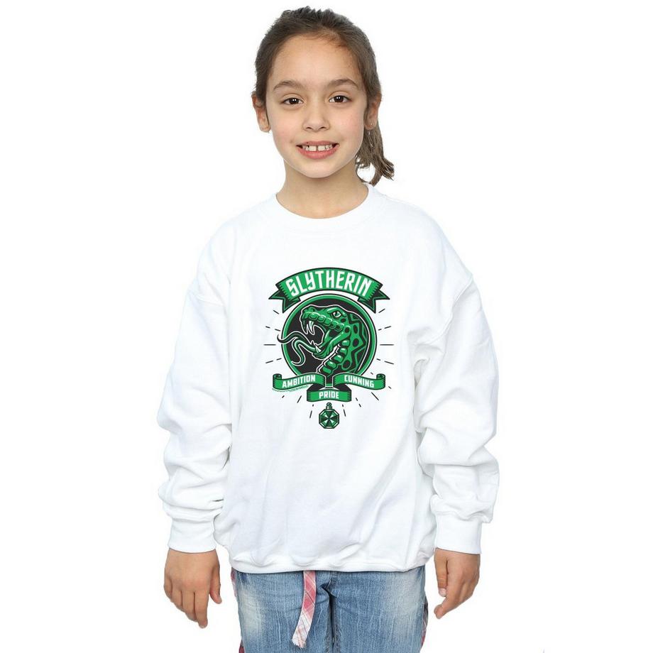 Harry Potter  Slytherin Sweatshirt 