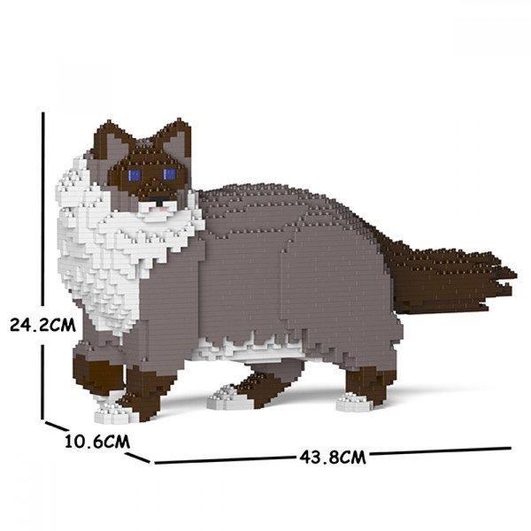 Jekca Limited  Ragdoll Cat 