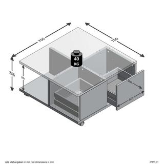 Calicosy Couchtisch auf Rollen mit 2 Schubladen und 2 Nischen L70 cm - Twin  