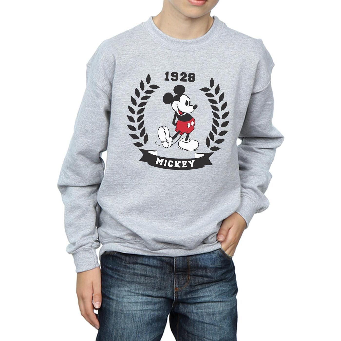 Disney  Sweatshirt 