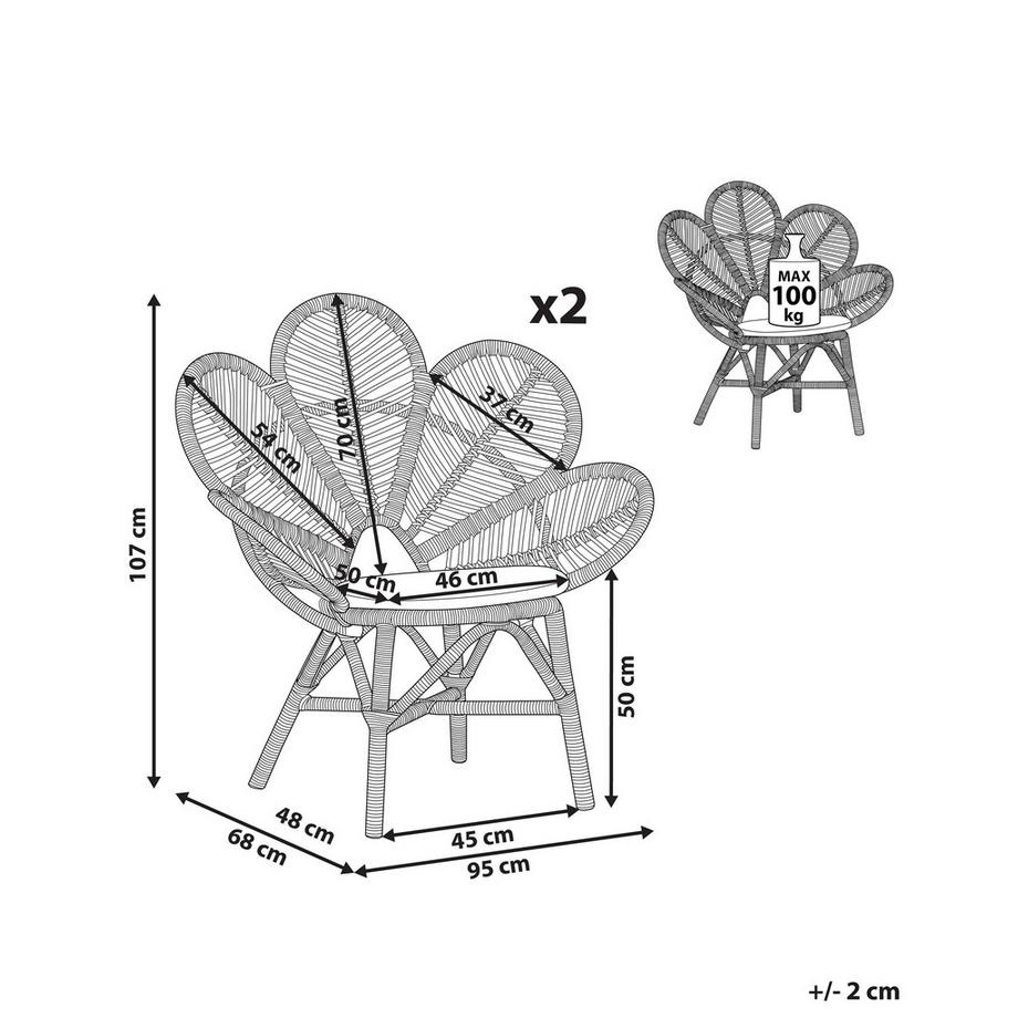 Beliani Lot de 2 chaises paon en Rotin Boho FLORENTINE  