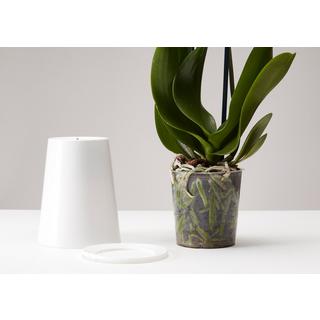 Boskke Sky Planter pot à plantes suspendu avec réservoir d'eau  