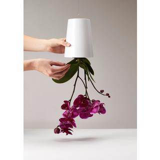 Boskke Sky Planter pot à plantes suspendu avec réservoir d'eau  