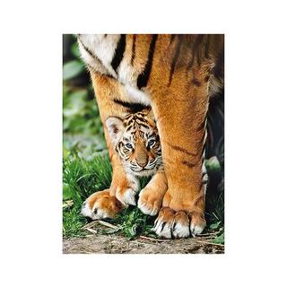 Clementoni  Puzzle Baby Tiger (500Teile) 