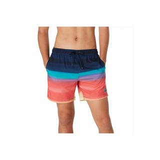 speedo  pantaloncini da bagno eco sna print volley 17 