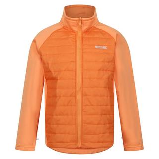 Regatta  Hydrate VIII Jacke, wasserfest 3 in 1 