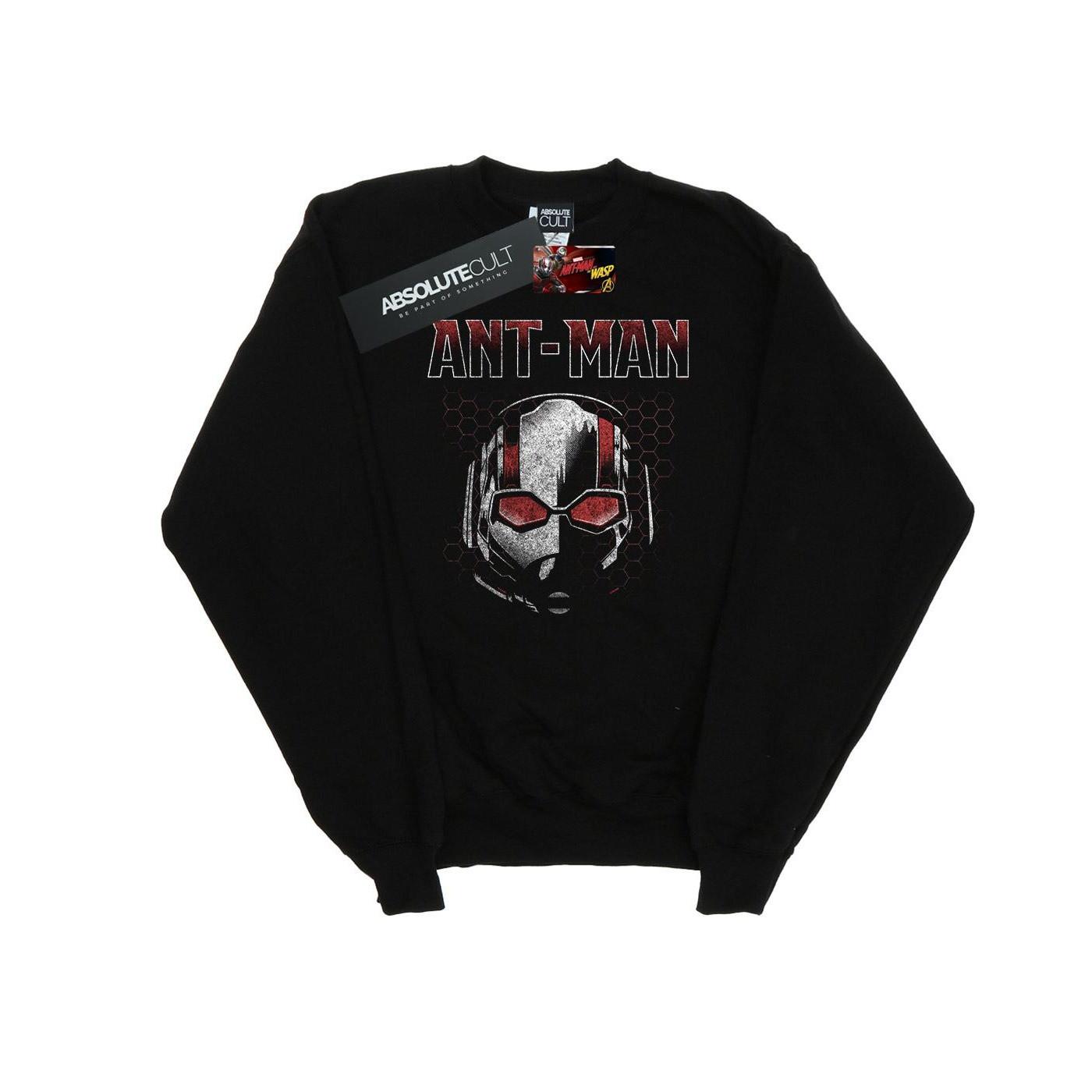 Image of Antman And The Wasp Scott Mask Hexagon Sweatshirt Herren Schwarz M