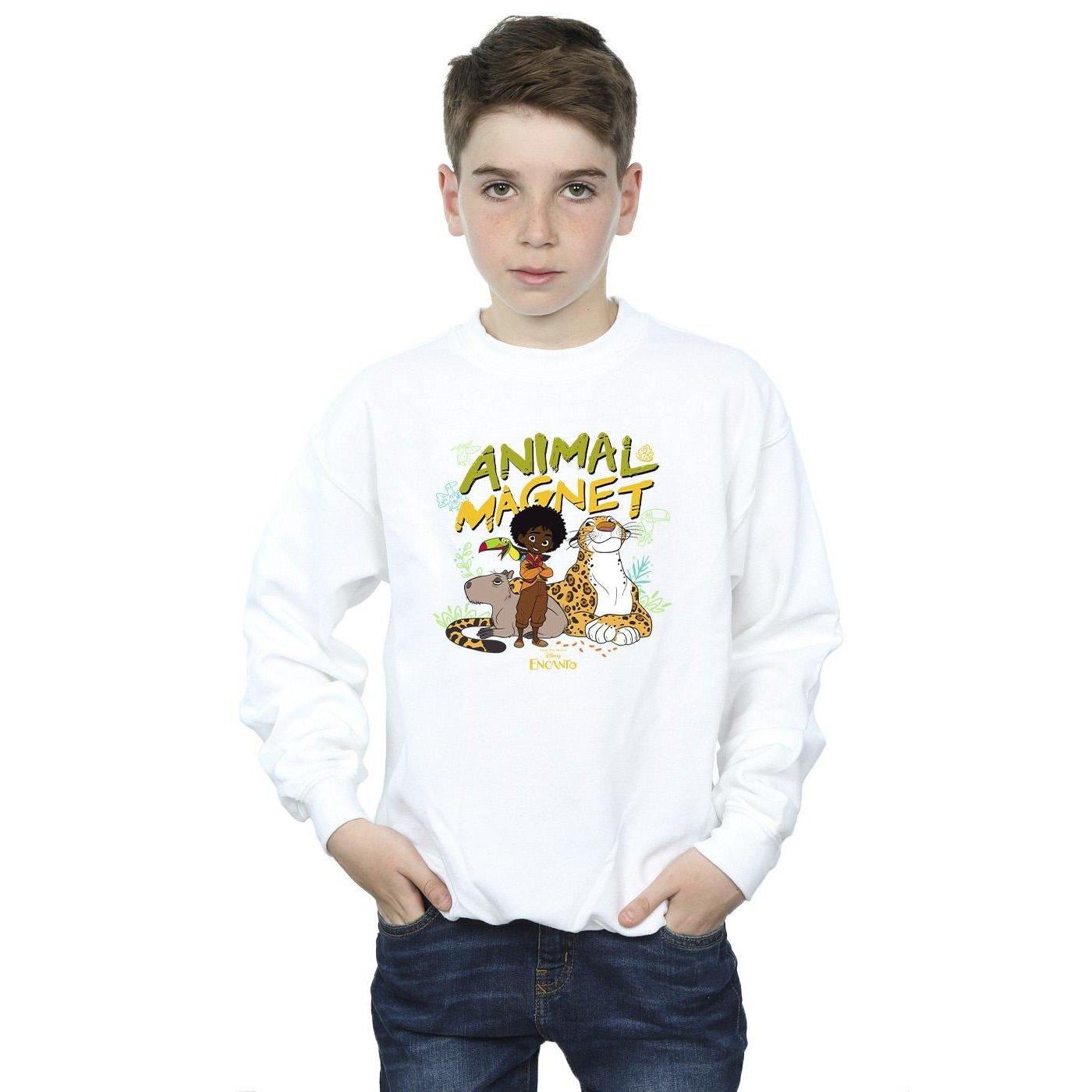 Disney  Encanto Sweatshirt 