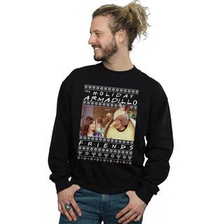 Friends  Holiday Armadillo Sweatshirt 