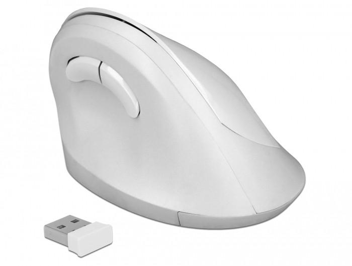 DeLock  12596 mouse Mano destra RF Wireless 1600 DPI 